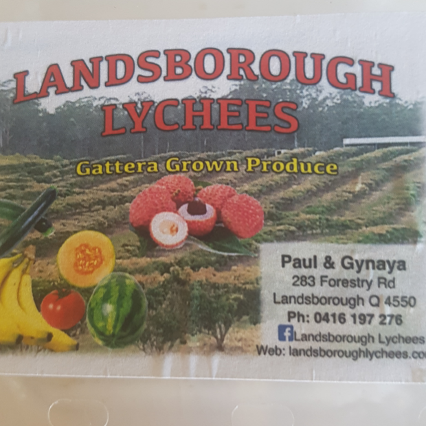 Landsborough Lychees | 283 Forestry Rd, Landsborough QLD 4550, Australia | Phone: 0416 197 276