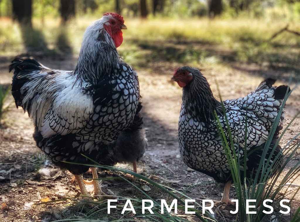 Farmer Jess | school | 366 McMullins Rd, Branxton NSW 2335, Australia | 0457374436 OR +61 457 374 436