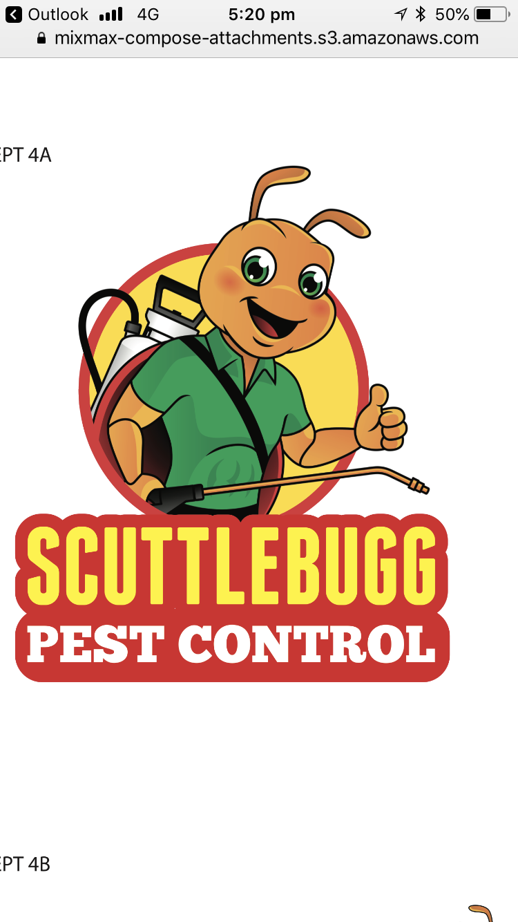 Scuttlebugg Pest Control | home goods store | 7 Seacrest Ave, Blackmans Bay TAS 7052, Australia | 0488166410 OR +61 488 166 410
