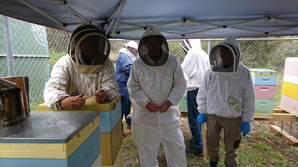 The Practical Beekeeper | 2 Wingrove St, Alphington VIC 3078, Australia | Phone: 0418 863 884