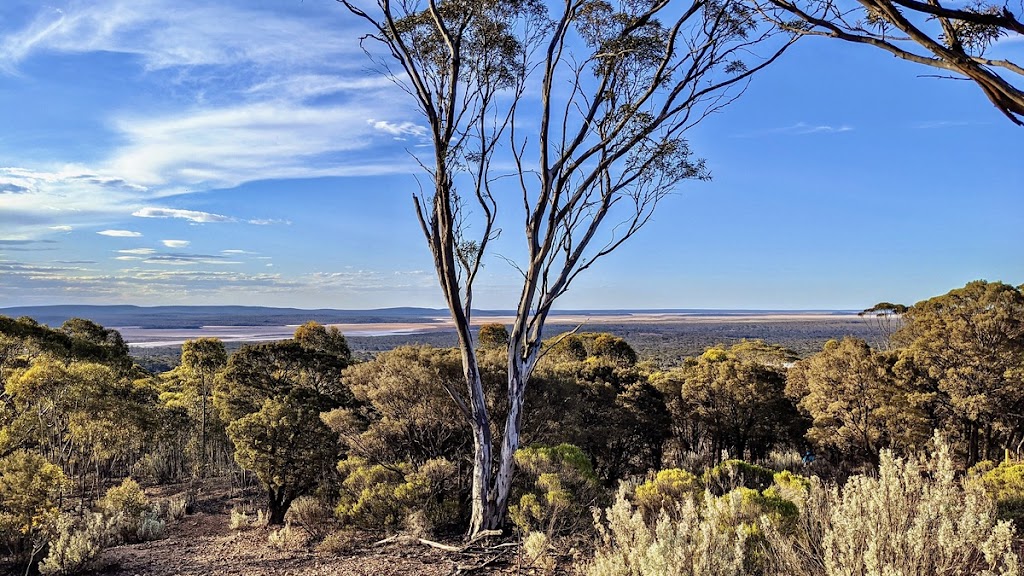 Norseman Free RV Site | Richardson St &, Mildura St, Norseman WA 6443, Australia | Phone: (08) 9039 1205