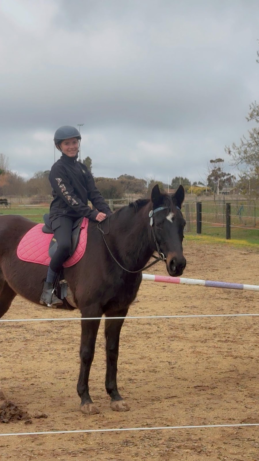 Devine Equine | 713 Graham Rd, Kyabram VIC 3620, Australia | Phone: 0428 939 638
