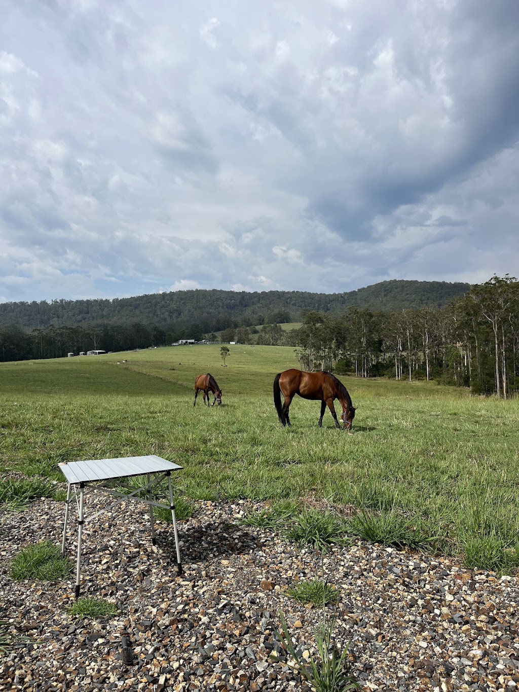 Lucky Stars Sanctuary | 167 Herivels Rd, Wootton NSW 2423, Australia | Phone: 0477 213 385