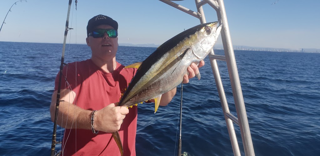 Brisbane fishing charters | Muriel Henchman Dr, Main Beach QLD 4217, Australia | Phone: (07) 5564 1037