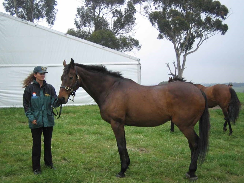 G C Horse Transport | point of interest | 1 Cyril Beechey Ln, Cranbourne VIC 3977, Australia | 0359966281 OR +61 3 5996 6281