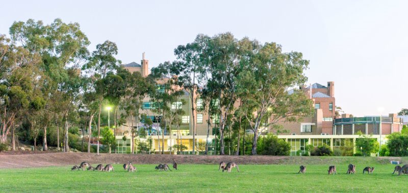 La Trobe University Bendigo Campus | university | 199, Edwards Rd, Flora Hill VIC 3552, Australia | 0354447222 OR +61 3 5444 7222