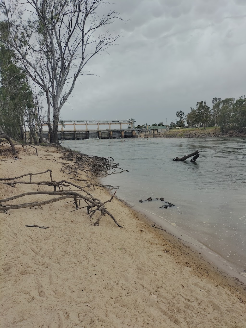 Clarkson Pest Control | Jane Rd, Yarrawonga VIC 3730, Australia | Phone: 0403 194 412