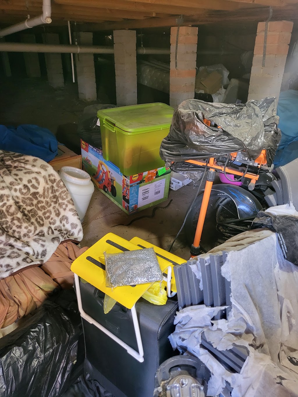 Danger Noodle Snake Removal | 28 Alexander Cres, Frankston VIC 3199, Australia | Phone: 0482 799 648