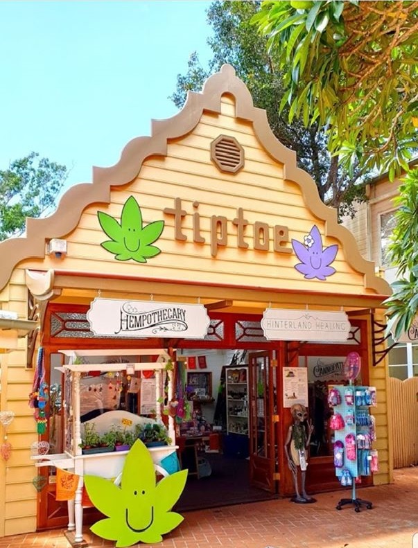 Bush Leaf Experts | Shop/169B Main St, Montville QLD 4560, Australia | Phone: (07) 5478 5957