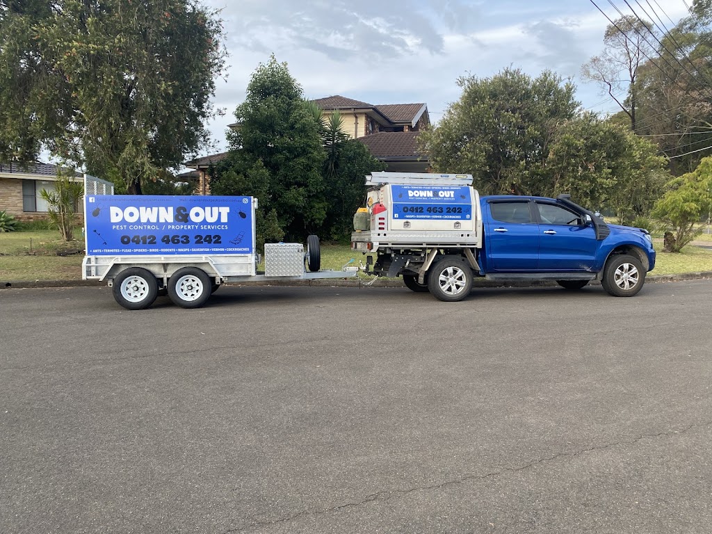 Down and Out Pest Control/Property Services | all areas, 20 Magree Crescent, Chipping Norton NSW 2170, Australia | Phone: 0412 463 242