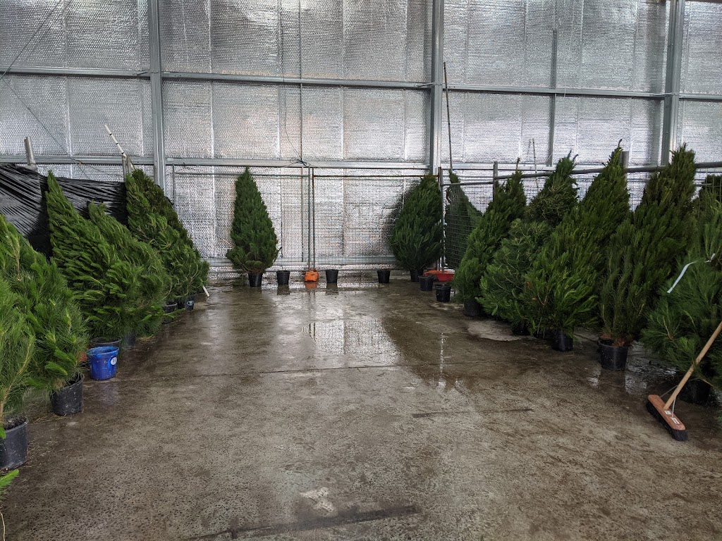 Dural Christmas Tree Farm |  | 879 Old Northern Rd, Dural NSW 2158, Australia | 0296511010 OR +61 2 9651 1010