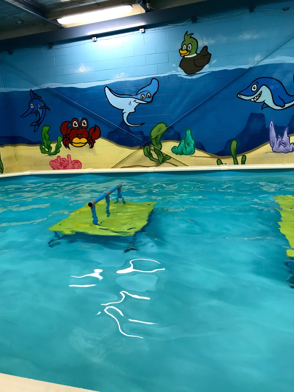 JUMP! Swim Schools Reservoir | health | 49 Radford Rd, Reservoir VIC 3073, Australia | 0413971698 OR +61 413 971 698