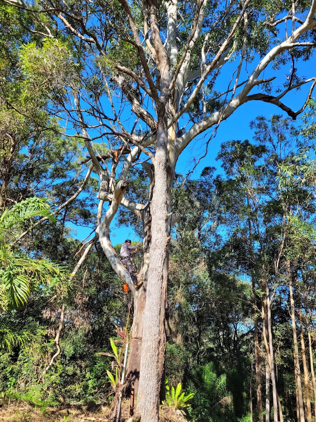 Geoscape property maintenance | Shed 1/372 Left Bank Rd, Mullumbimby NSW 2482, Australia | Phone: 0412 321 681