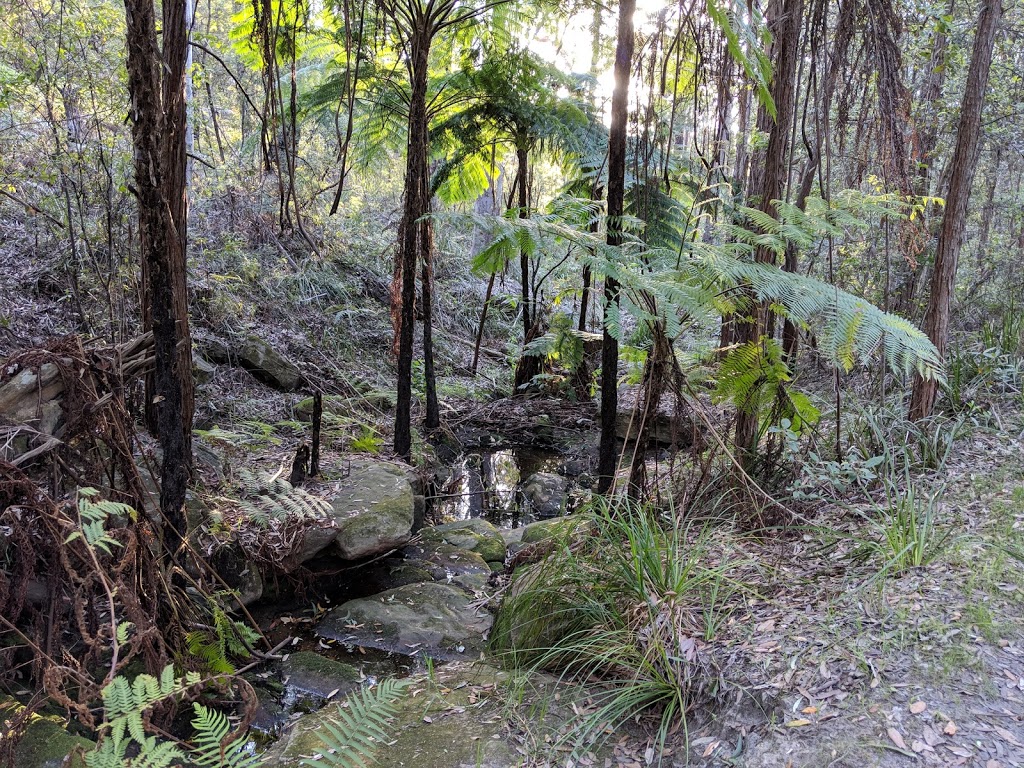 Linksley Reserve | park | Glenhaven NSW 2156, Australia