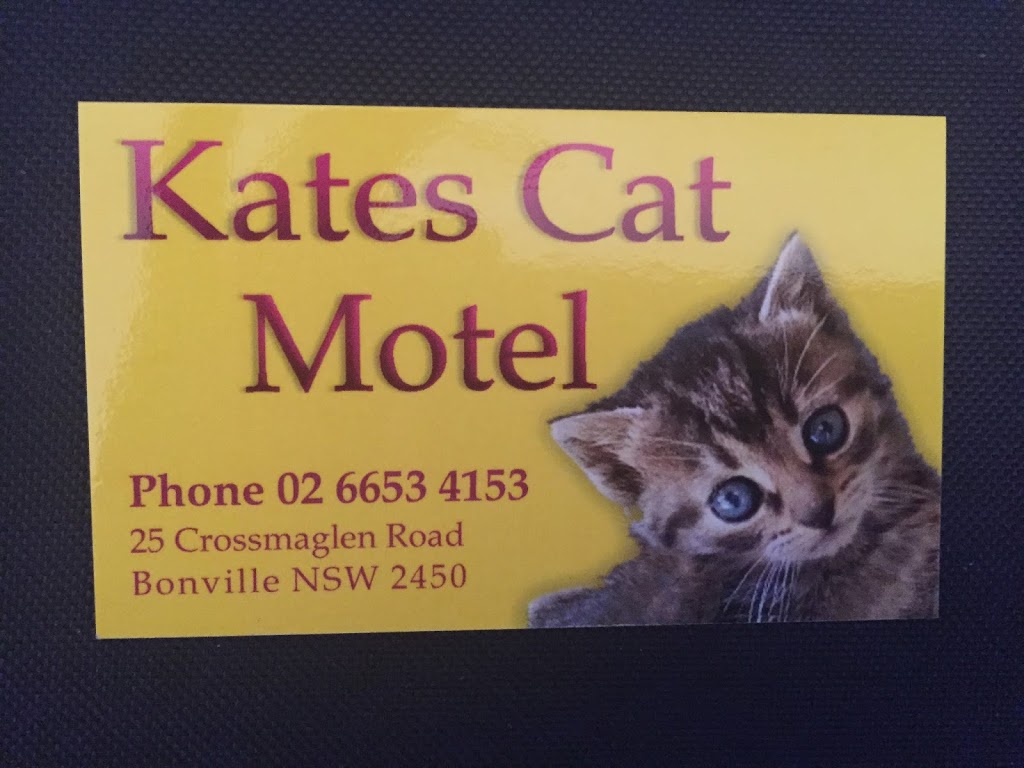 Kates Cat Motel | veterinary care | 25 Crossmaglen Rd, Bonville NSW 2441, Australia | 0266534153 OR +61 2 6653 4153
