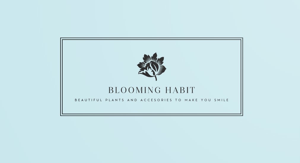 Blooming Habit | Harrow Glen, 33 Missingham Parade, Robertson NSW 2577, Australia | Phone: 0423 930 090