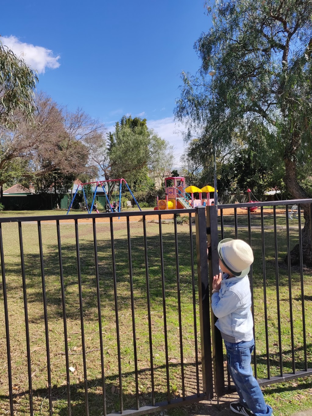 Carrington Street Reserve Playground | park | 45-51 Carrington St, Summer Hill NSW 2130, Australia