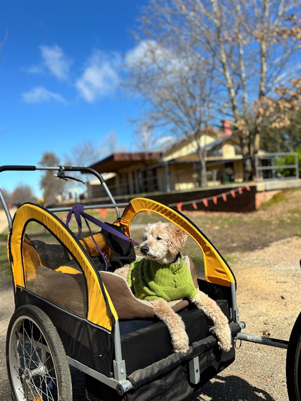 The Dog House Farm Stay | 46 Lawrie Rd, Beechworth VIC 3747, Australia | Phone: 0447 943 266