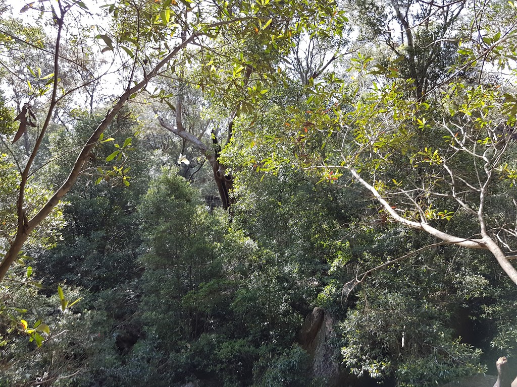 Bidjigal Reserve | park | Baulkham Hills NSW 2153, Australia | 0401181170 OR +61 401 181 170