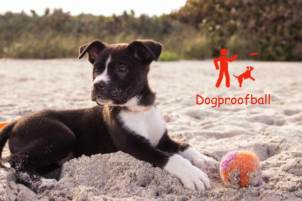 Dogproofball | pet store | 24 Coimadai Ct, Mornington VIC 3931, Australia | 0429707064 OR +61 429 707 064