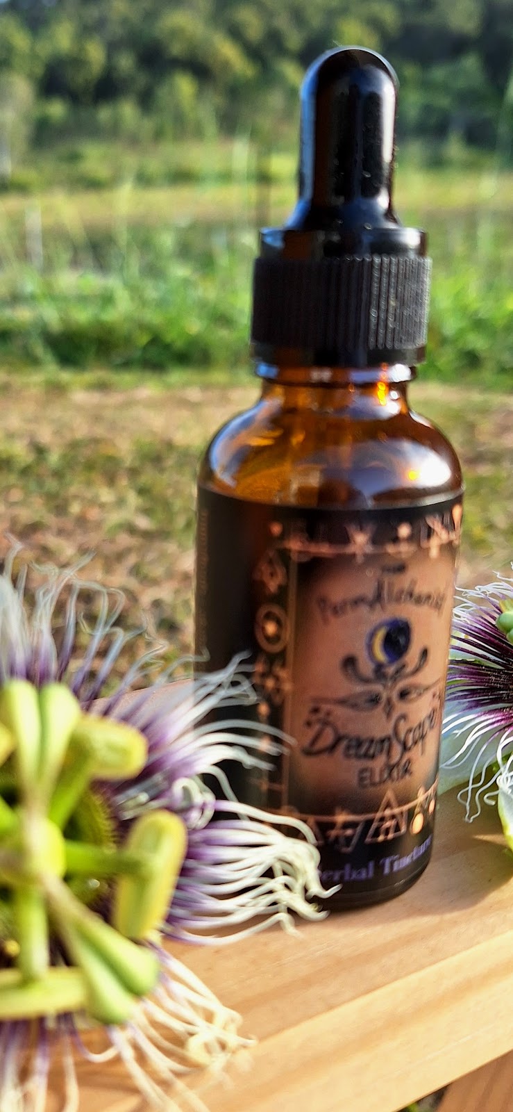 The PermAlchemist | Clayton Rd, Lammermoor QLD 4703, Australia | Phone: 0406 348 132