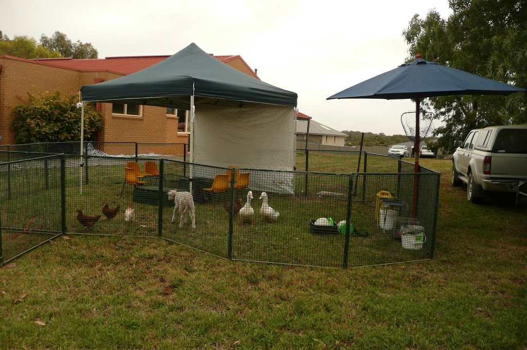 Kirribindi Mobile Animal Farm |  | Ross Rd, Nambrok VIC 3847, Australia | 0407346230 OR +61 407 346 230