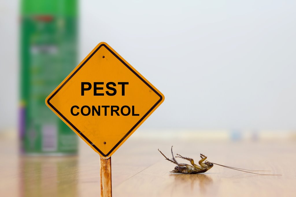 Rons Pest Control | 19 Ainsworth Cresent, Diggers Rest VIC 3427, Australia | Phone: (03) 9018 7471