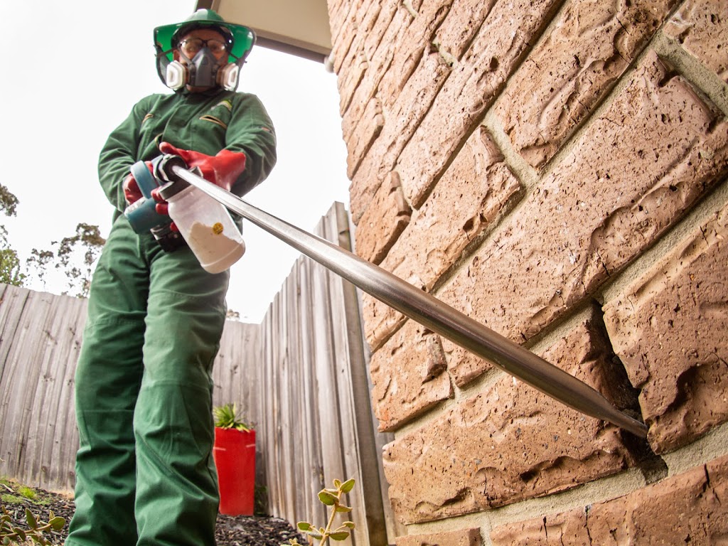 Pied Piper Pest Control | 542a Nelson Rd, Mount Nelson TAS 7007, Australia | Phone: 0415 819 602