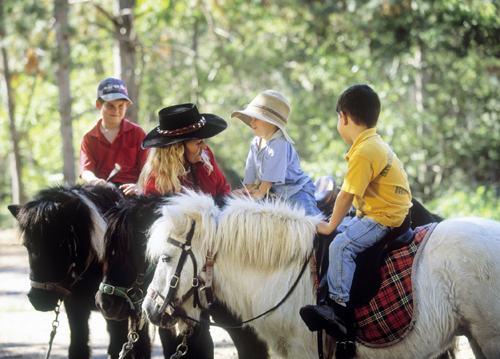 Mooloolah Valley Riding Centre | travel agency | 101/103 King Rd, Mooloolah Valley QLD 4553, Australia | 0408224668 OR +61 408 224 668