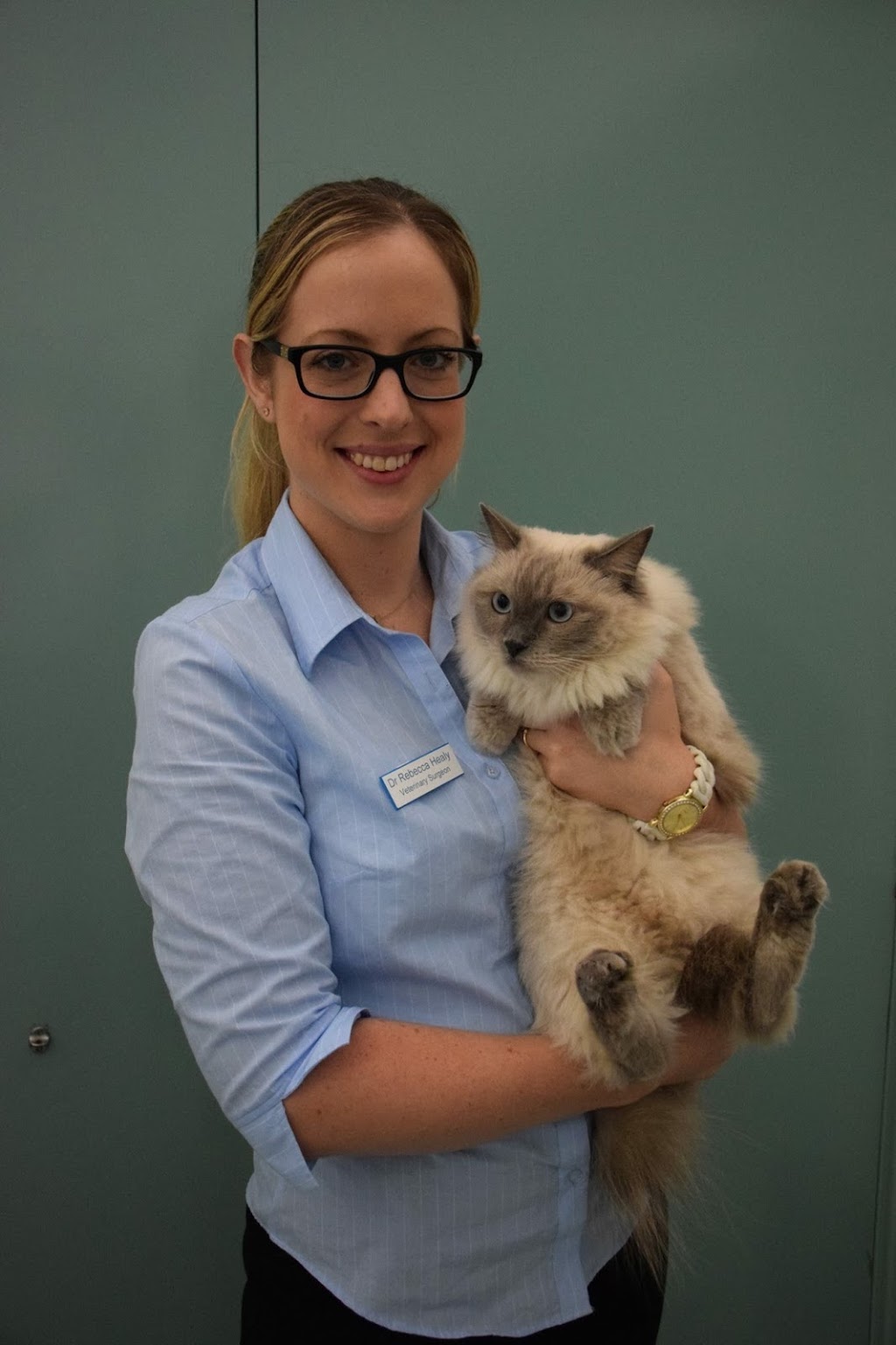 Banksia Grove Veterinary Hospital | 1001 Joondalup Dr, Banksia Grove WA 6031, Australia | Phone: (08) 9306 2555