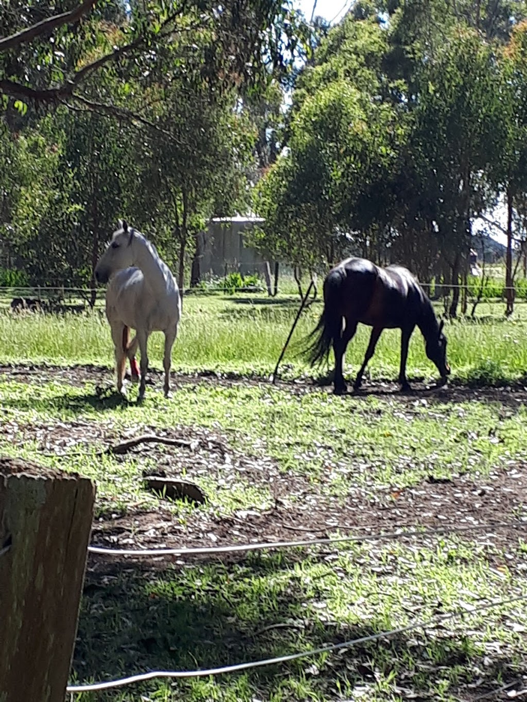 Anglesea Valley Lodge | 635 Wensleydale Station Rd, Wensleydale VIC 3241, Australia | Phone: (03) 9497 2899