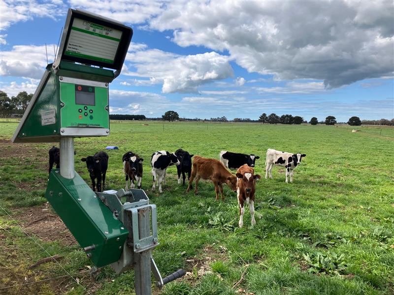Padman Automation Solutions | 4948 Murray Valley Hwy, Strathmerton VIC 3641, Australia | Phone: 1800 254 594