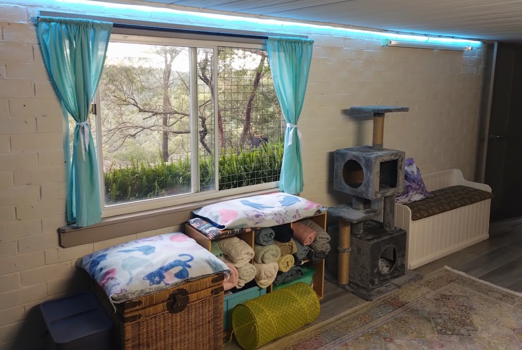 Kats Cat Care | 56 Terrymont Rd, Warrimoo NSW 2774, Australia | Phone: 0423 077 882