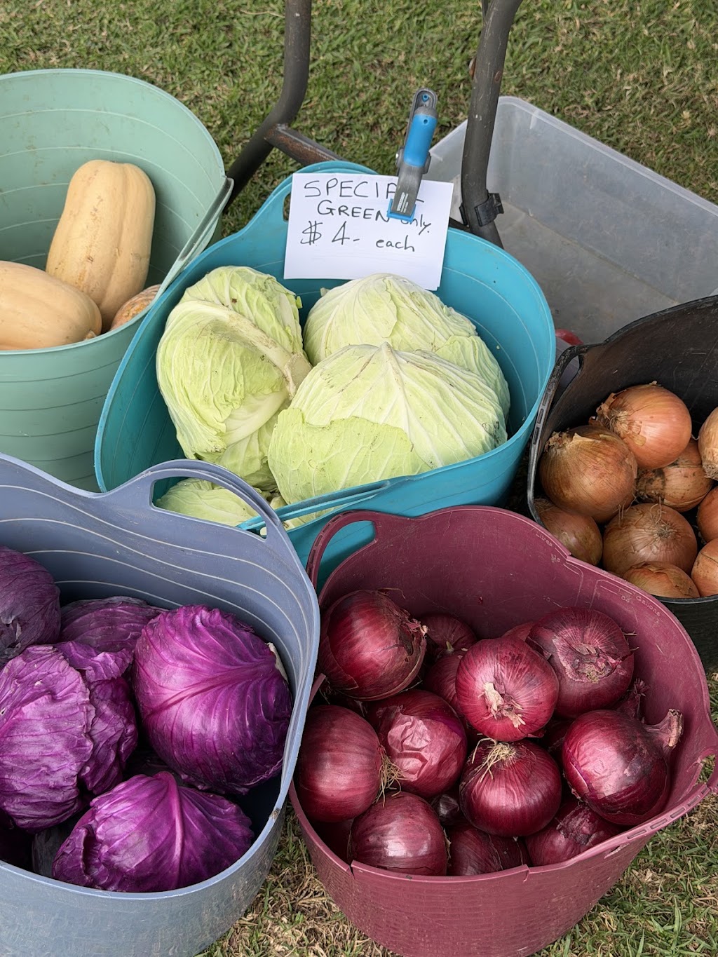 Strong Organics | 131 Millbank Rd, Terara NSW 2540, Australia | Phone: 0402 882 785