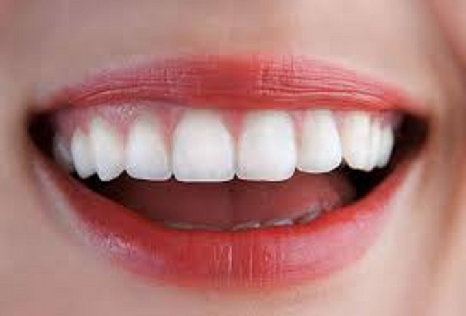 Seb Northern Beaches Dental | dentist | 607 Warringah Rd, Forestville NSW 2087, Australia | 0294513186 OR +61 2 9451 3186