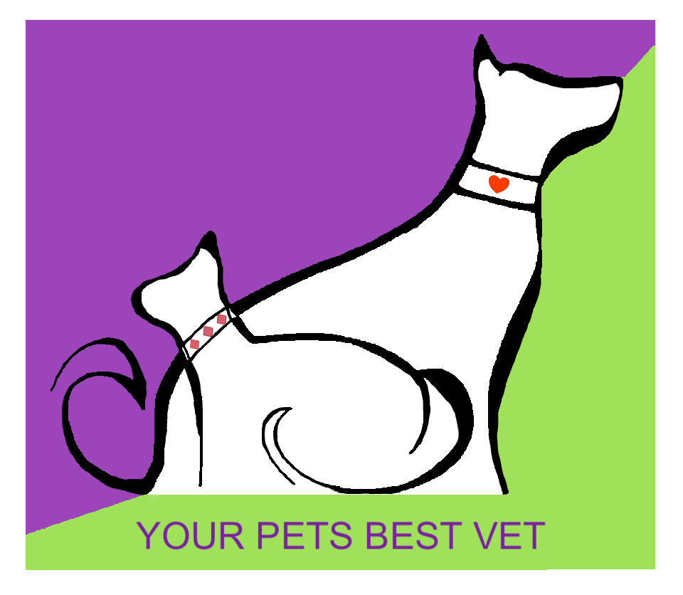 Snobby Pets Vet Housecall Vet | Unit 6/1 Hawkins Cres, Bundamba QLD 4304, Australia | Phone: 0473 908 877
