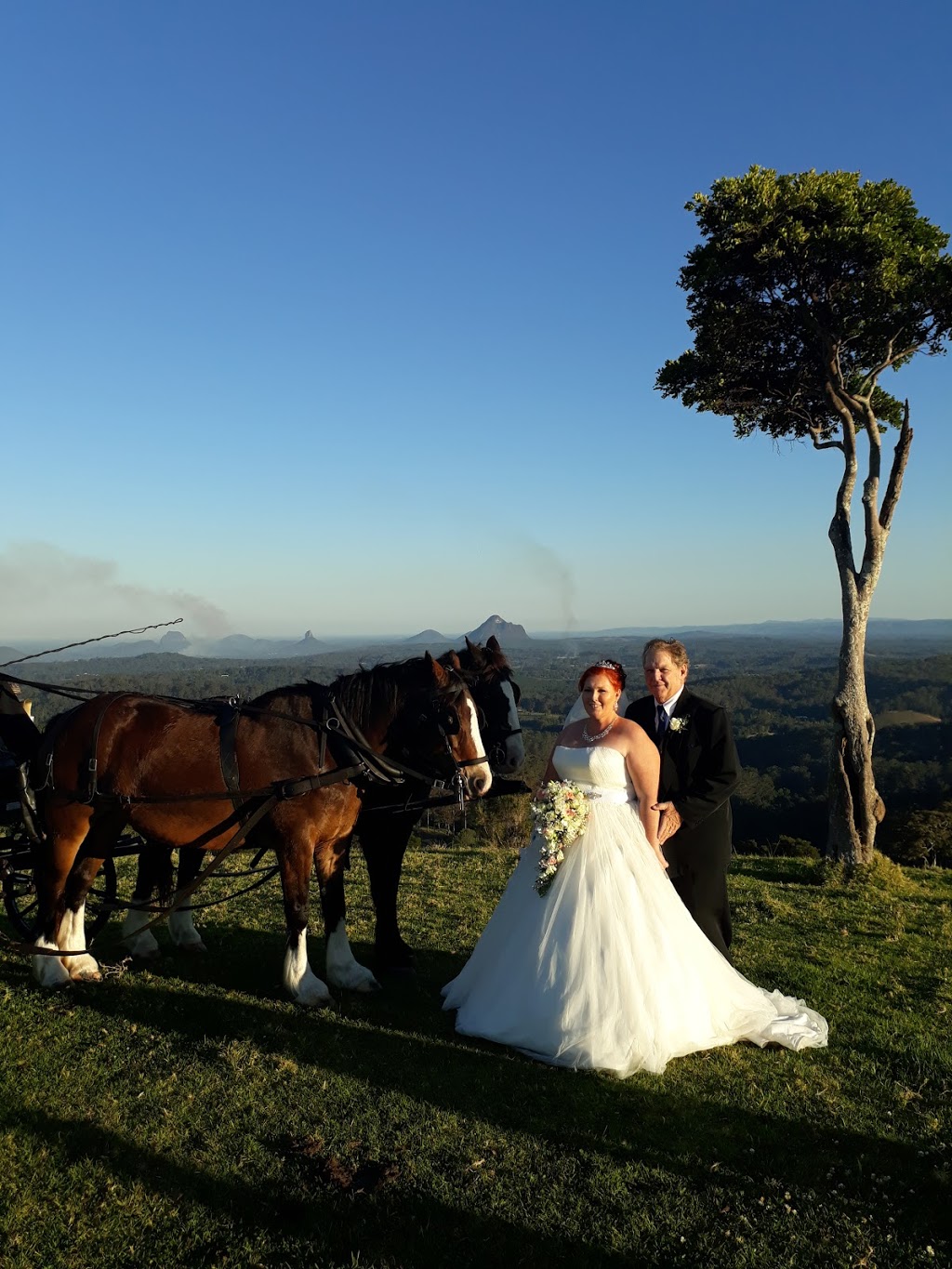 Sunshine Carriages | 30 Heilbronn Rd, Jones Hill QLD 4570, Australia | Phone: (07) 5482 3358