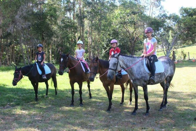 Kamilaroi Equestrian Centre | 247 Kanes Rd, Round Mountain NSW 2484, Australia | Phone: 0409 122 109