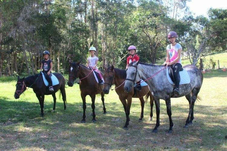 Kamilaroi Equestrian Centre |  | 247 Kanes Rd, Round Mountain NSW 2484, Australia | 0409122109 OR +61 409 122 109