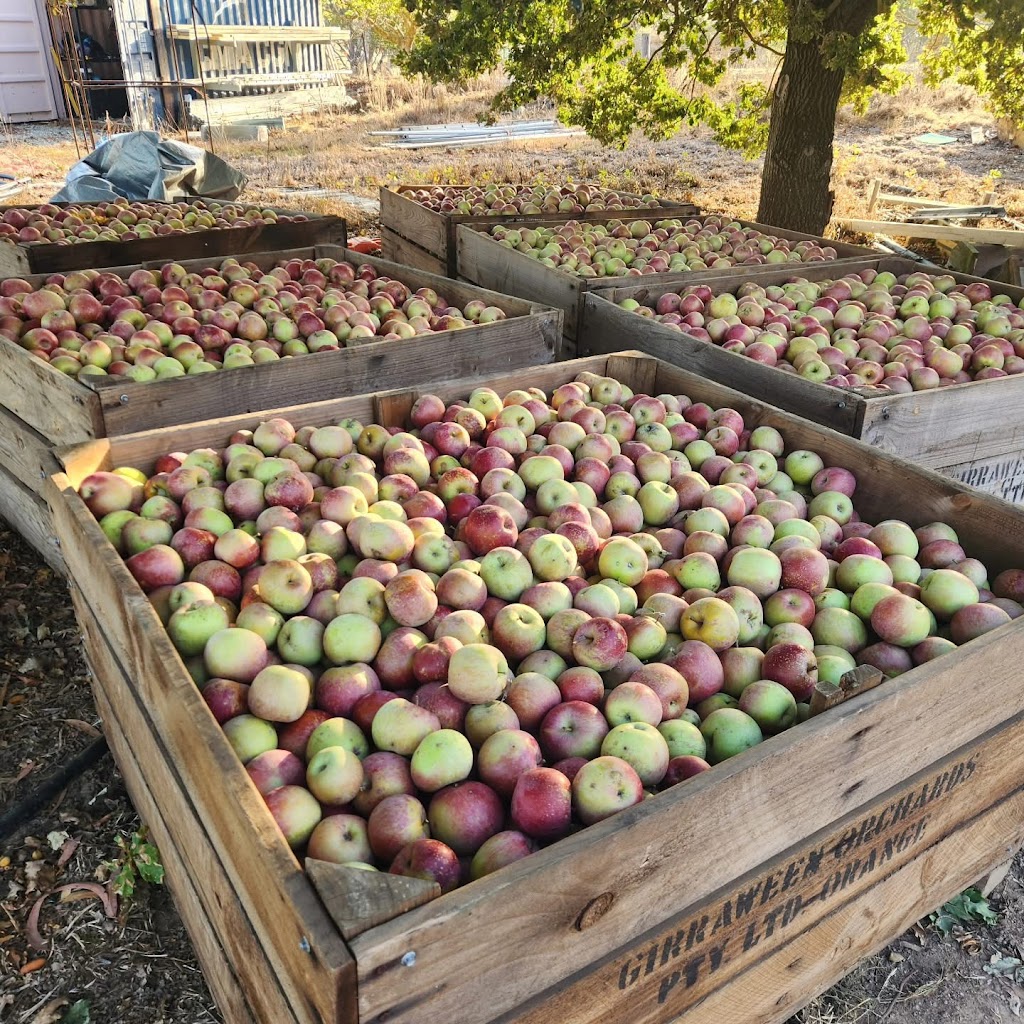 Fardon & Sons Organics | 225 Marshalls Ln, Blayney NSW 2799, Australia | Phone: 0427 148 009