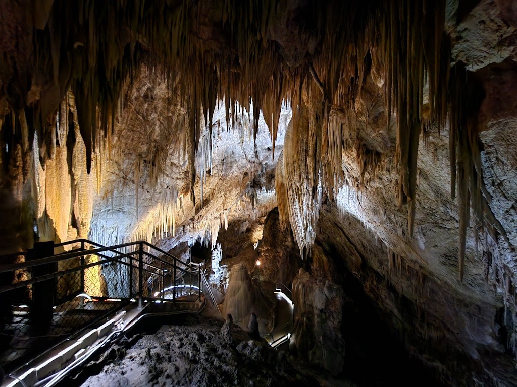 Hastings Caves Entrance | Hastings TAS 7109, Australia | Phone: (03) 6298 3209