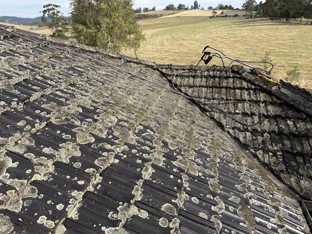 Lyrebird Outdoor Cleaning | 1615 Old Sale Rd, Buln Buln East VIC 3821, Australia | Phone: 0422 109 629