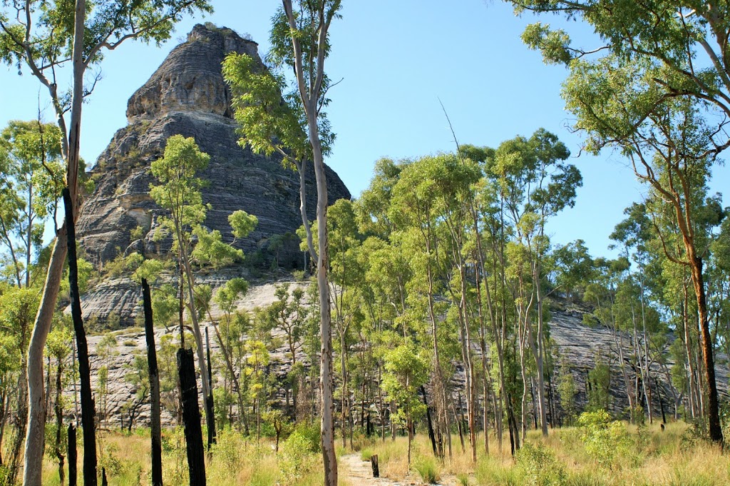 Louisa Creek Junction Day-Use Area | LOT 7 Cungelella Rd, Mantuan Downs QLD 4722, Australia