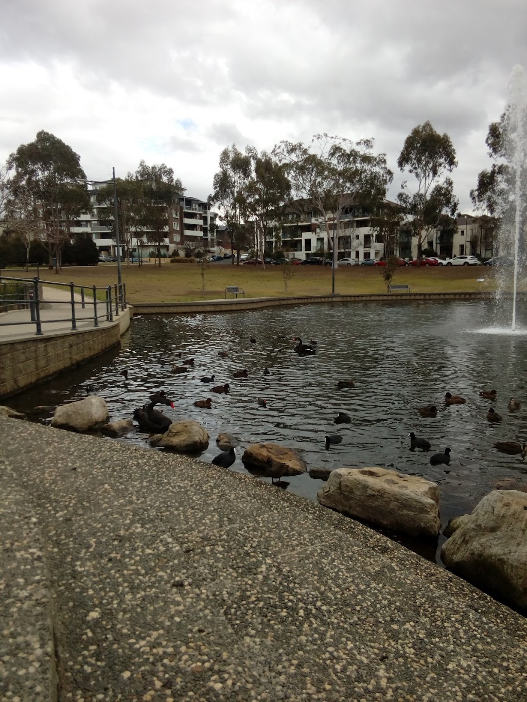 Park Central Duck Pond | park | 40 Parkside Cres, Campbelltown NSW 2560, Australia