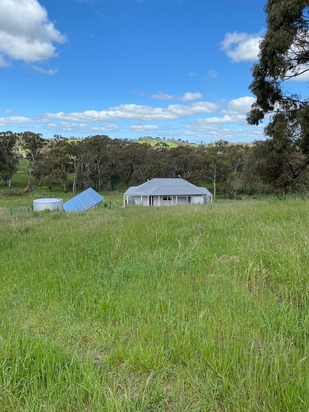 Aurora Guesthouse | 167 Carbine Rd, Forest Reefs NSW 2798, Australia | Phone: 0407 262 494