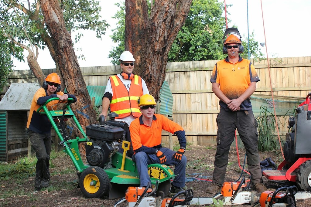 Cut It Right Tree Service | 11 Wandella Rd, Mornington VIC 3931, Australia | Phone: 0415 776 062