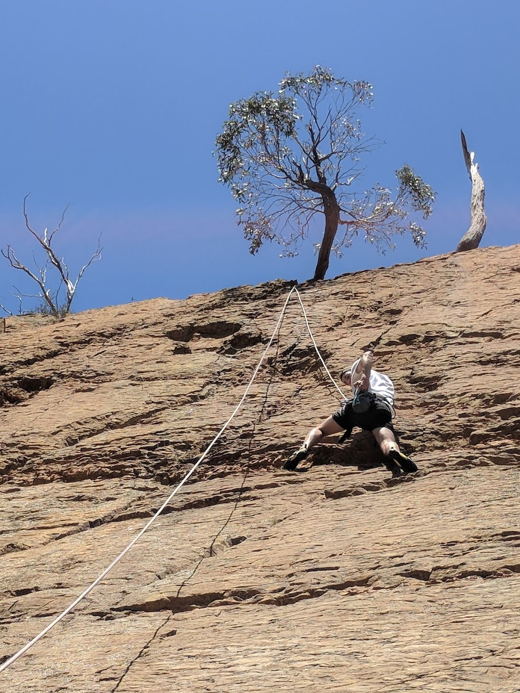 Staughton Vale Climbing Face Area |  | Staughton Vale VIC 3340, Australia | 131963 OR +61 131963