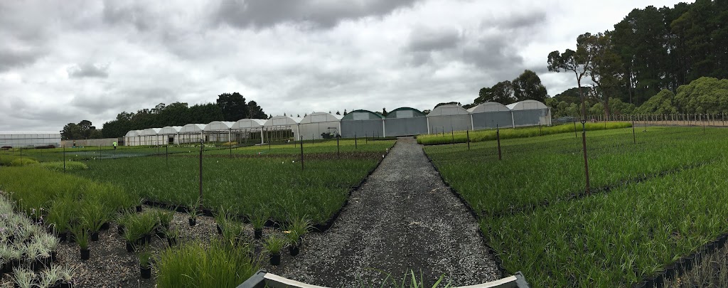 Humphris Nursery |  | 218/220 Cardigan Rd, Mooroolbark VIC 3138, Australia | 0397619688 OR +61 3 9761 9688