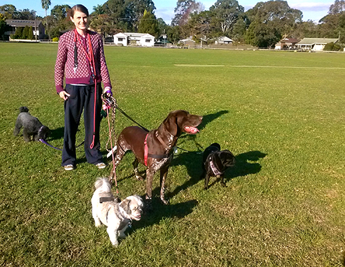 Pet Buddy | veterinary care | 23 Fennell Cres, Blackalls Park NSW 2283, Australia | 0402924819 OR +61 402 924 819