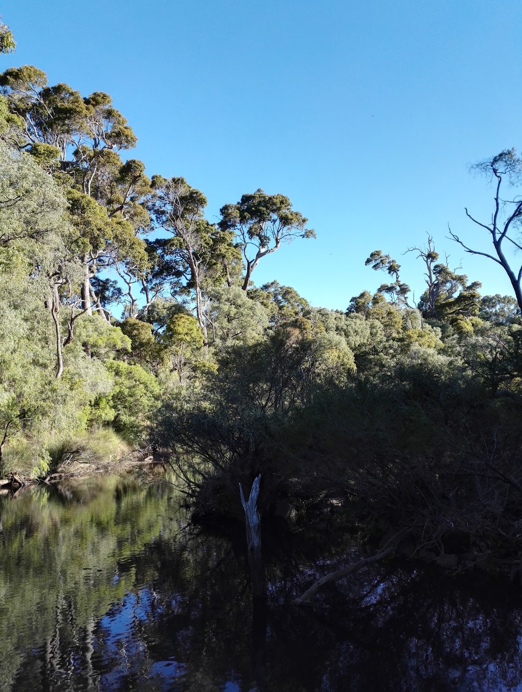 Margaret River Scaffold | 25 Friesian St, Cowaramup WA 6284, Australia | Phone: 0416 312 354